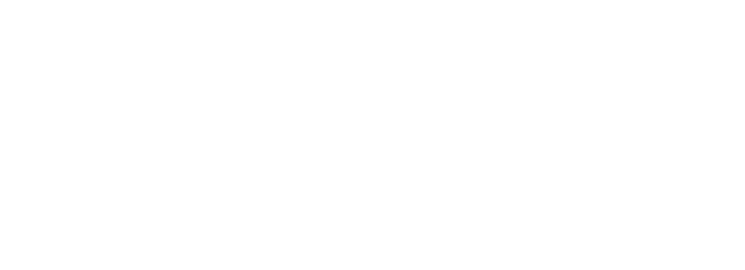 MCCall logo